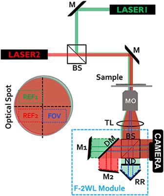Flipping Interferometric Module for Simultaneous Dual-Wavelength Unwrapping of Quantitative Phase Maps of Biological Cells